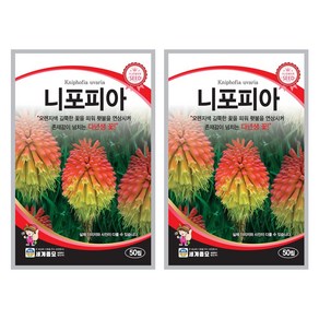 니포피아 씨앗 50립 꽃씨앗 세계종묘 모칸도, 2개