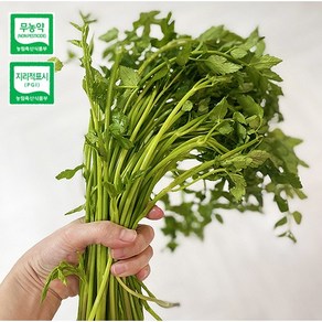 청도 한재 무농약 미나리 1kg / 500g 깨끗이 세척 후 손질