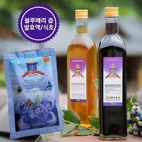 국내 유일 야생 블루베리로 만든 블루베리식초 발효액(8년 항아리숙성), 식초1병+효소액1병, 2개, 500ml