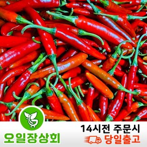 국내산 청양홍고추 청양홍초 매운청양홍고추 1kg 2kg 3kg, 1개, 1kg내외