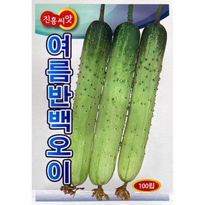 여름반백 오이씨앗 100립, 1개