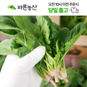 < 바른농산 > 국내산 당일수확 시금치, 1개, 4kg