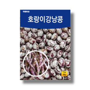 강낭콩 씨앗 종자 웰빙호랑이강낭콩 30g, 1개