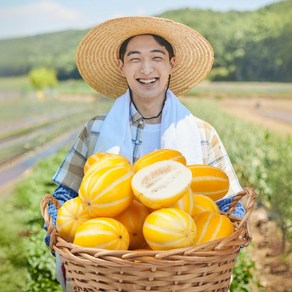 [농가직송] 성주참외 고당도 꿀 참외 로얄과 대과 koean melon, 1박스, 달달꿀맛 로얄중과(3kg)