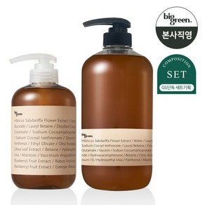 빅그린 데일리 비건샴푸 히비스커스 500ml+1000ml 세트, 2개