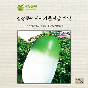 아시아가을저장 무 씨앗 12g, 1개