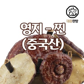 대흥한방 영지버섯(찐) 중국산 1000g, 1개