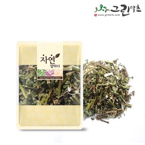 국산 곽향 300g 배초향 방아잎, 1개