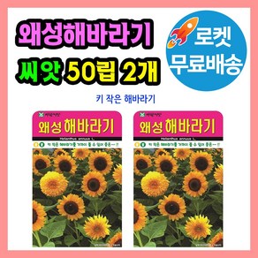 왜성해바라기 씨앗 (합 100립) 미니해바라기 씨 종자, 2개