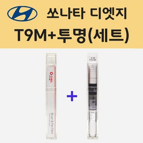 현대 쏘나타 디엣지 T9M 녹턴그레이매트 주문 붓펜 페인트 + 모비스 투명붓펜 8ml