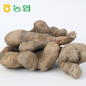 삼촌밥먹자 북안동농협 국산 안동 산마 (중)2kg 3kg 5kg, 2kg, 1개