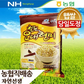 철원오대현미 5kg 자연선생 2024년 햅쌀 현미