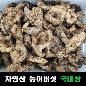 능이버섯 자연산 국내산, 냉동능이버섯 1kg, 1개