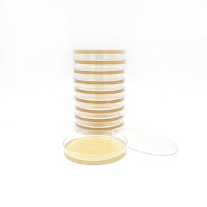 [MEDION]메디온 식품공전 보통한천배지 생배지 Nutrient Agar(NA) 20plate