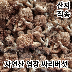 [자연산] 경북 염장 싸리버섯 국산 참싸리버섯, 1박스, 염장 싸리버섯 500g