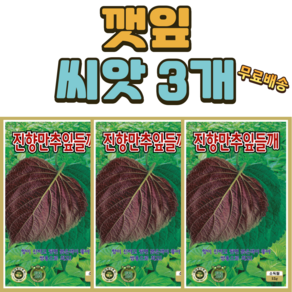 씨앗팜 잎들깨 씨앗 3개(10gx3) 깻잎씨앗 깻잎 씨 쌈채소 채소 씨앗 종자, 3개