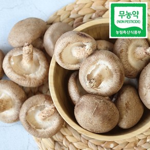 광헌팜 생표고버섯 1kg/2kg/4kg, 표고버섯 가정용 2kg, 1개