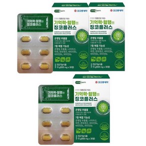 징코플러스 500mg 30정 3박스(3개월) 은행잎추출물150 mg 아연 나이아신, 3개