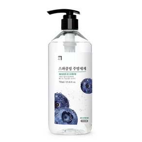 살림백서 스파클링 대용량 주방세제 설거지 과일세척 툰드라베리, 750ml, 1개