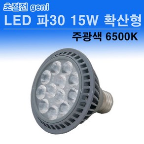 GENI LED PAR30 15W 집중형 파삼공, 주광색, 1개