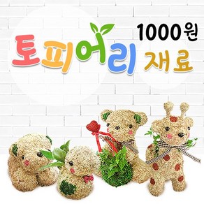 토피어리재료1000원샵/수태/이끼/체험학습/토피어리망, 기본, A1수태20g, 1개