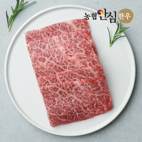 [농협안심한우] 1등급 한우 살치살 구이용 400g 소고기 특수부위, 1개