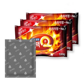 KC인증 바이온 레츠고 겨울필수 흔드는 핫팩Q 100g 30매, 핫팩Q 100g 핫팩 30매, 30개