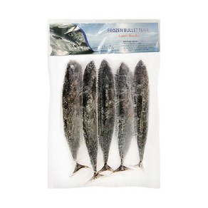 Tulingan Fozen Skipjack Tuna 툴링안 냉동가다랑어, 1개, 900g