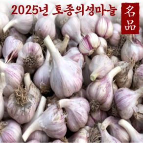 2025년 햇마늘 의성마늘 6쪽마늘 한지형 한접, 1개, 반접 특대