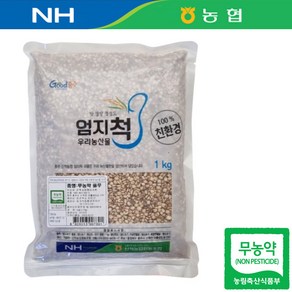 충북 제천 24년산 국산 농협 무농약 율무 1kg 율무쌀 율무밥, 1개