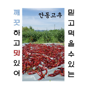 국산100% 안동 깨끗한 고춧가루 안동 고춧가루 500g, 1개