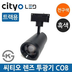 씨티오 LED 트랙용 렌즈투광기 30W COB 블랙 전구색, 1개