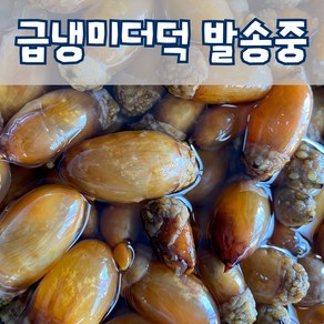 산지직송 진동 생물 미더덕 참미더덕 당일채취 횟감가능, 1.2kg, 1개