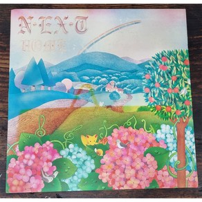 (LP) 넥스트 N.EX.T HOME (인형의 기사) 92년 한국