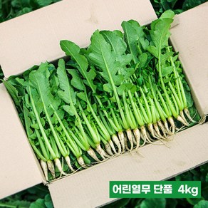 채소한 포천 어린열무 싱싱 국내산 수확, 어린열무4kg, 1개