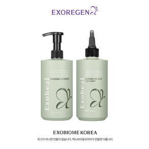 두피탈모 집중케어 스칼프 엑스퍼트 엑소좀 샴푸 앰플 트리트먼트 500ml + 300ml 세트, 1개