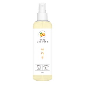 더허브샵 공기&섬유 탈취제 250ml, 한라봉