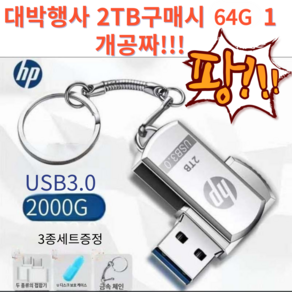 [국내배송] 1+1 HP 3.0 2TB 대용량 USB 메모리 64G1개 무료증정 핸드폰 컴퓨터 OTG Type C 호환, 호환부품(USB아님), 1개