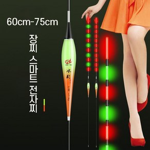 60cm-75cm 장찌 변색 스마트 전자찌 장대 낚시 야광 민물, 2개, L-02 1.8g 60cm