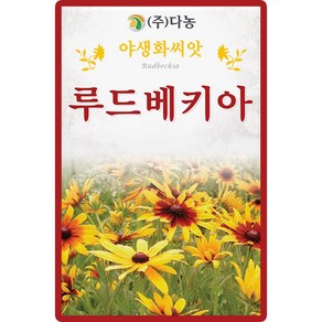 다농 루드베키아 씨앗 1000립, 1개