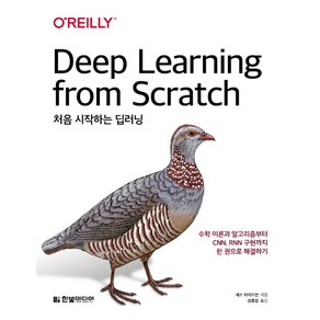 처음 시작하는 딥러닝:수학 이론과 알고리즘부터 CNN RNN 구현까지 한 권으로 해결하기, 한빛미디어