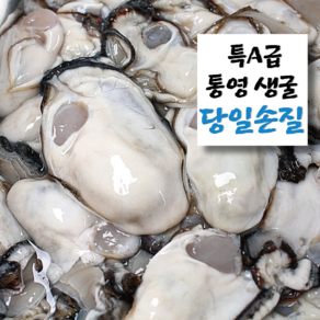 [통통한굴] 통영 생굴 완벽세척 깐굴, 1kg, 1개