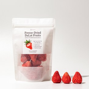 더건간식 동결건조 달랏 딸기 해썹인증 과일칩, 4개, 50g
