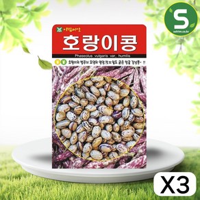 솔림텃밭몰 호랑이콩씨앗 30g 강낭콩씨앗 호랑이넝쿨강낭콩씨앗, 3개