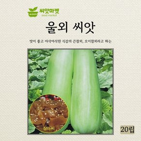 아람종묘 울외 씨앗 20립, 1개