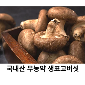 국내산 무농약 표고버섯 500g 1kg 10kg 국산 생표고버섯 특상 가정용 업소용 파지 못난이 당일수확, 2개