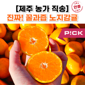 [달콤끝판왕] 제주감귤 타이벡감귤 비가림감귤 제주귤, 1개, 2.5kg