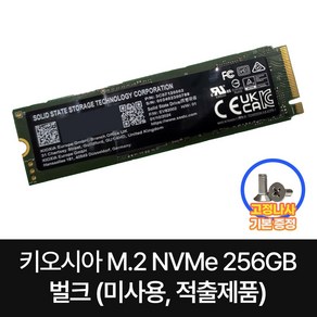 키오시아 KIOXIA NVMe M.2 SSD 256GB PCIe 4.0, CL4-8D256