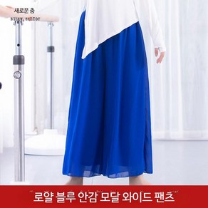 발레복 댄스복 바지 스포츠 라인 하의 여름 팬츠 라틴 줌바 여성용 공연복 연습복