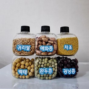 곡식마라카스/과학영역/관찰영역/음률영역